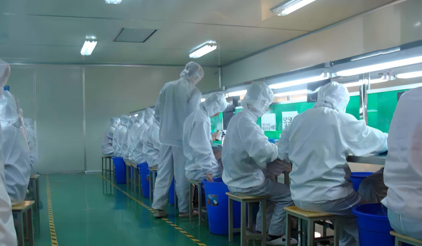 羞羞视频免费下载模组